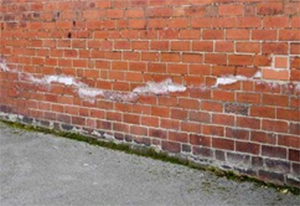 hygroscopic salt - rising damp - DPC - damp proof course